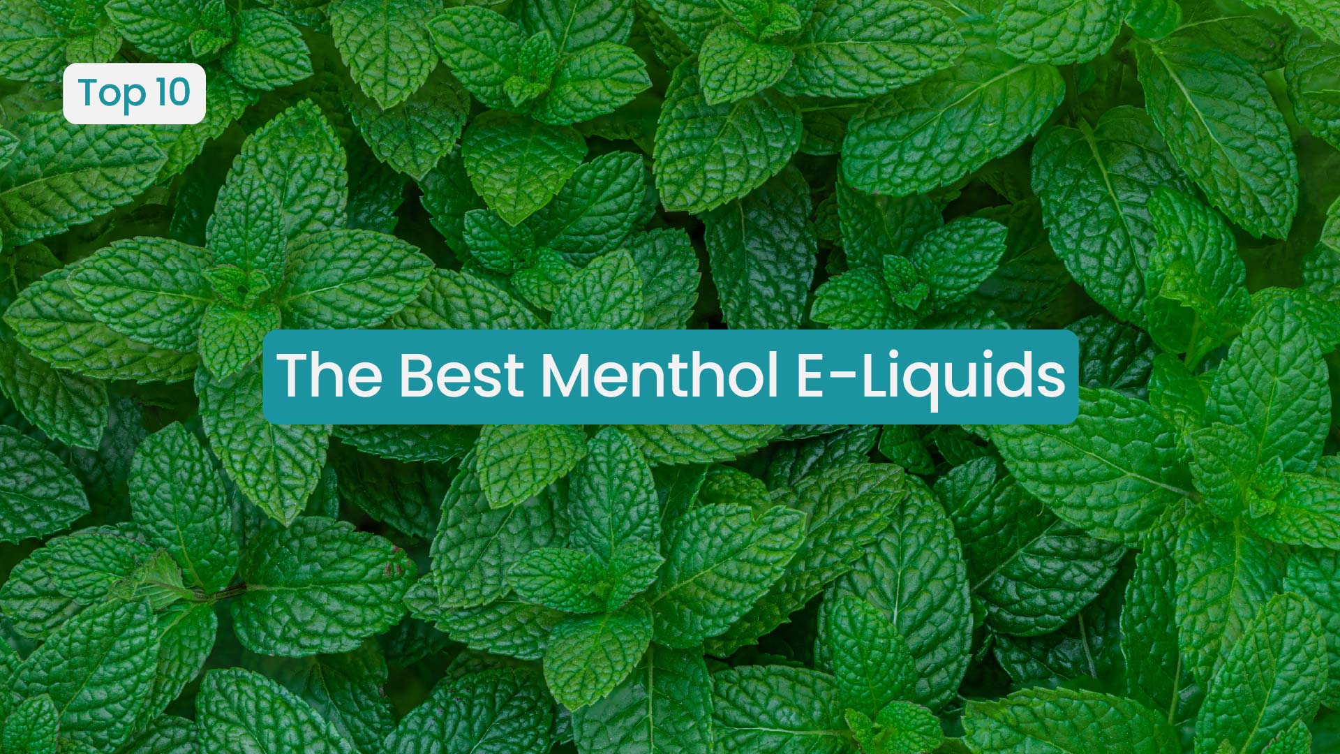 The Best Menthol E-Liquids to Try in 2026 | Vape Superstore The Best Menthol E-Liquids to Try in 2026 | Vape Superstore