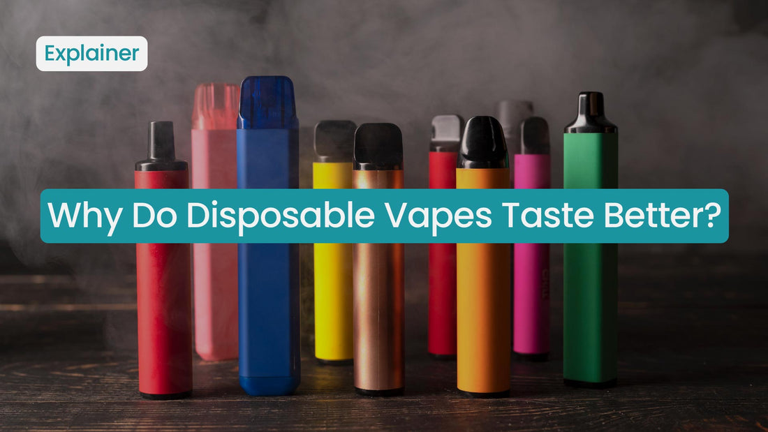 Why Do Disposable Vapes Taste Better? Why Do Disposable Vapes Taste Better?