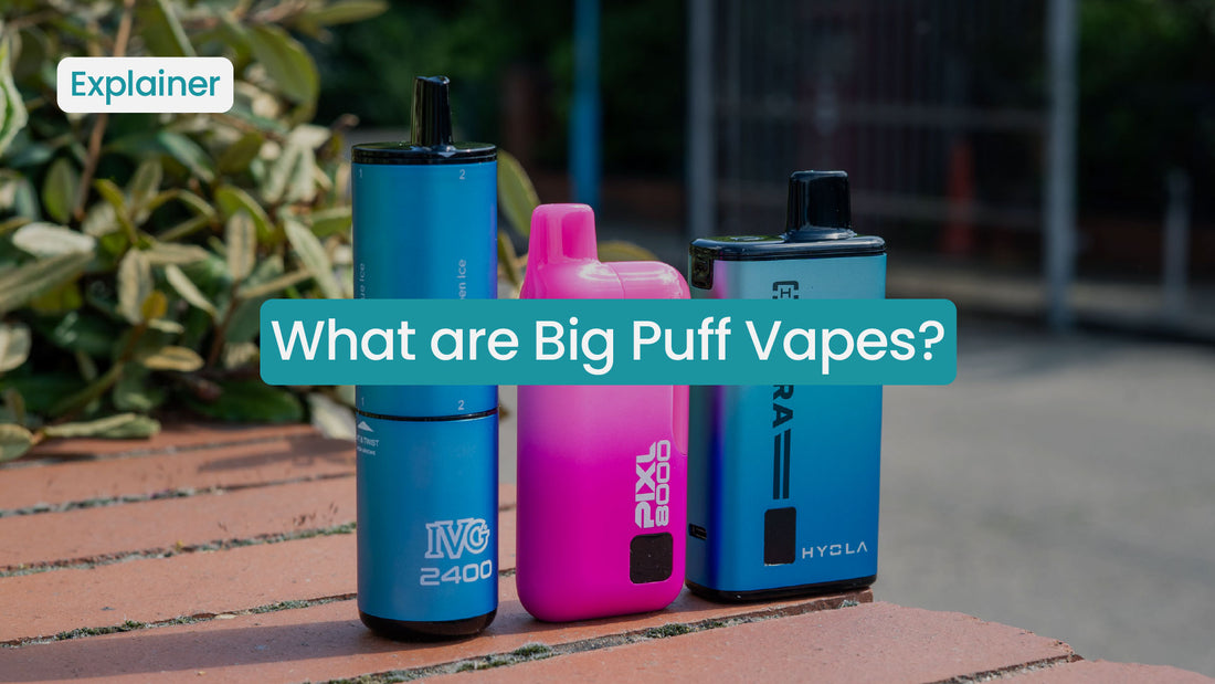 Three vapes on a table with text asking about Big Puff Vapes.