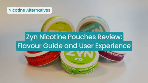 Zyn Nicotine Pouches Review: Flavour Guide and User Experience (2026)
