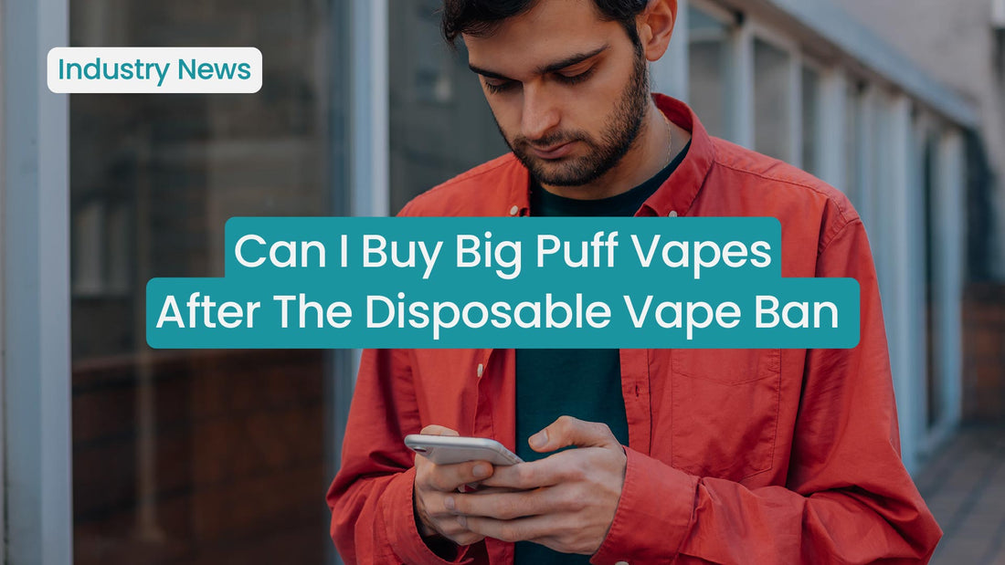 Can I buy big puff vapes after the disposable ban?