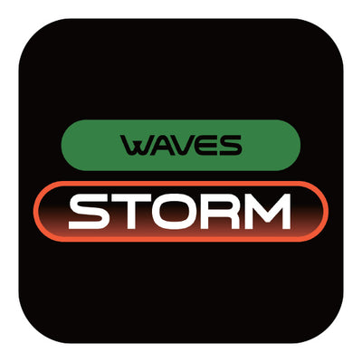 Weather The Storm or Ride The Wave 