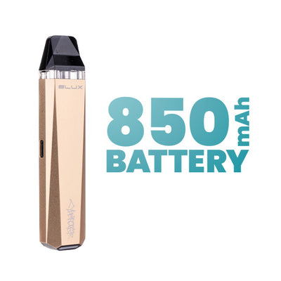 Large Rechargeable Battery