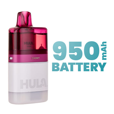 950mAh Rechargeable Battery