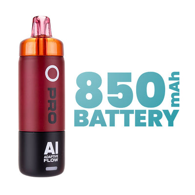 Battery and Performance
