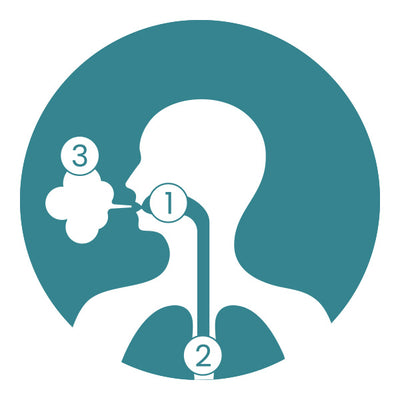 Mouth to Lung Vaping