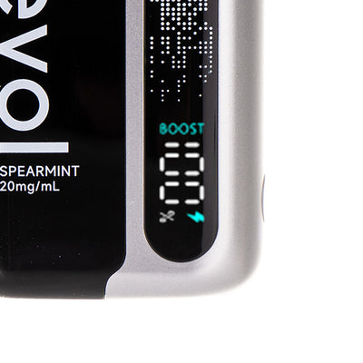 LCD Battery Display