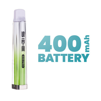 Large Rechargeable Battery