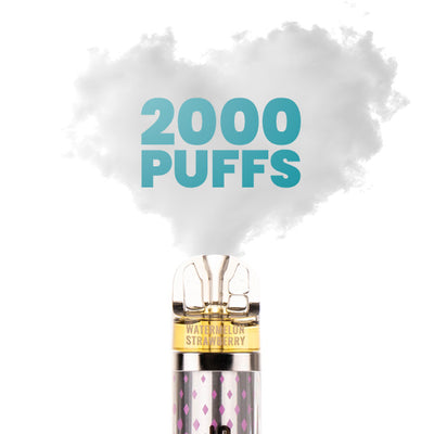 2000 Puffs Of SKE's Top Flavours