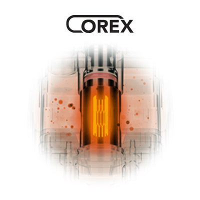COREX Dual Mesh